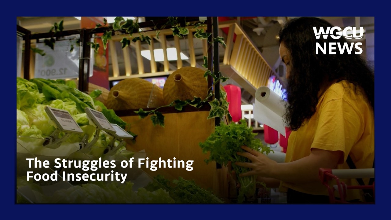 The Struggles of Fighting Food Insecurity