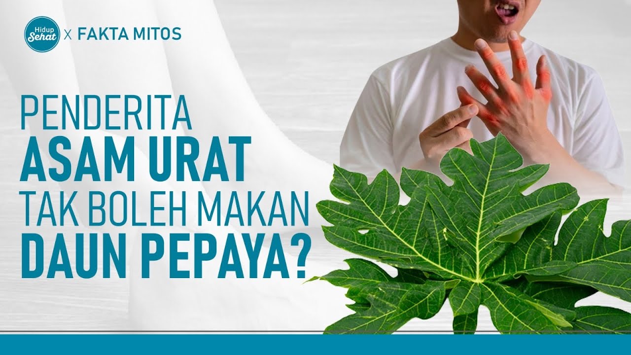 Benarkah Penderita Asam Urat Dilarang Makan Daun Pepaya? | Hidup Sehat tvOne
