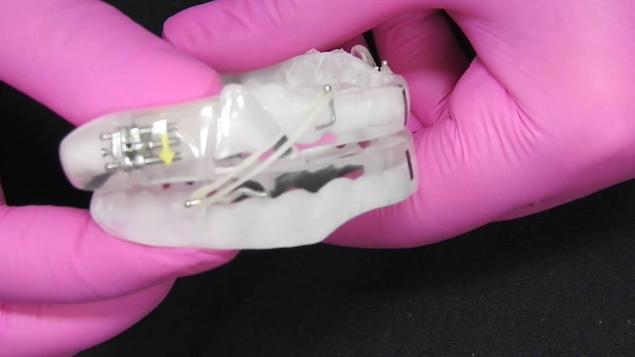 Dynaflex Dorsal