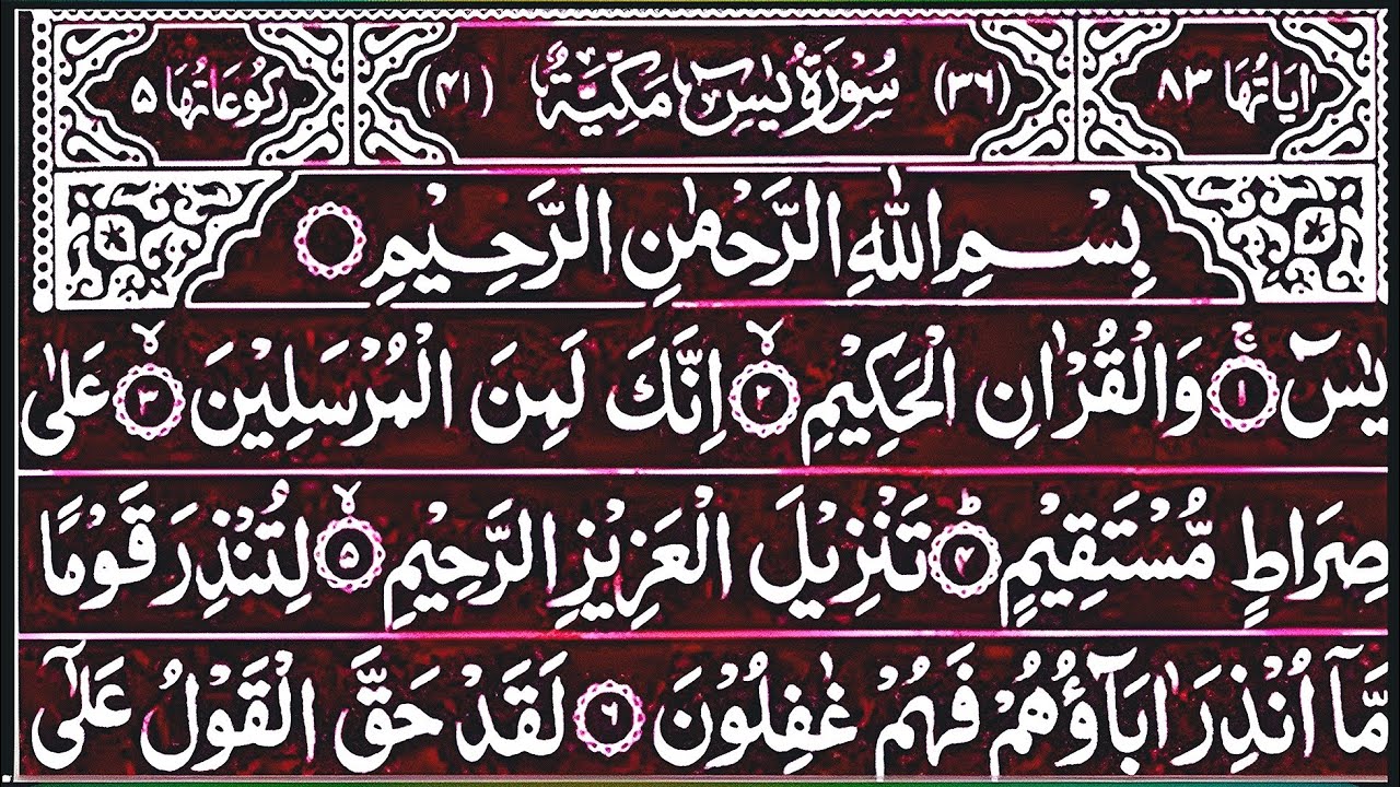 Surah Yasin Surah Rahman | Beautiful Recitation Surah Yaseen Surah Rahman Full | Quran Tilawat | 129