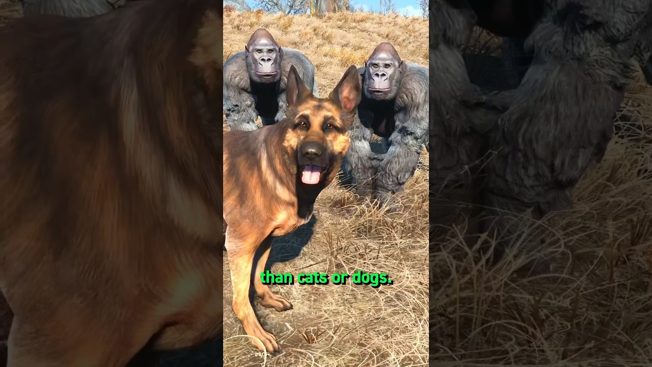 ЛУЧШЕЕ животное для ваших поселений в Fallout 4