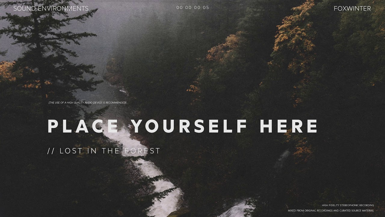 // LOST IN THE FOREST | 1 Hour Birdsong Forest Ambience For Studying, Sleeping and Relaxation