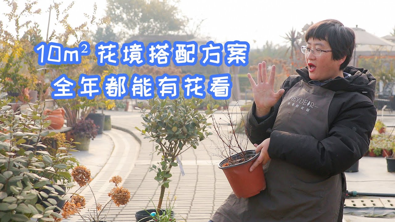 【海妈园艺课堂】10㎡花境搭配方案，全年都能有花看