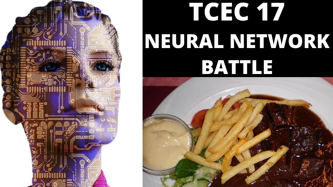 Outrageous Double Rook Sacrifice! || Highly Evolved Leela vs Stoofvlees || TCEC Season 17 Rd29