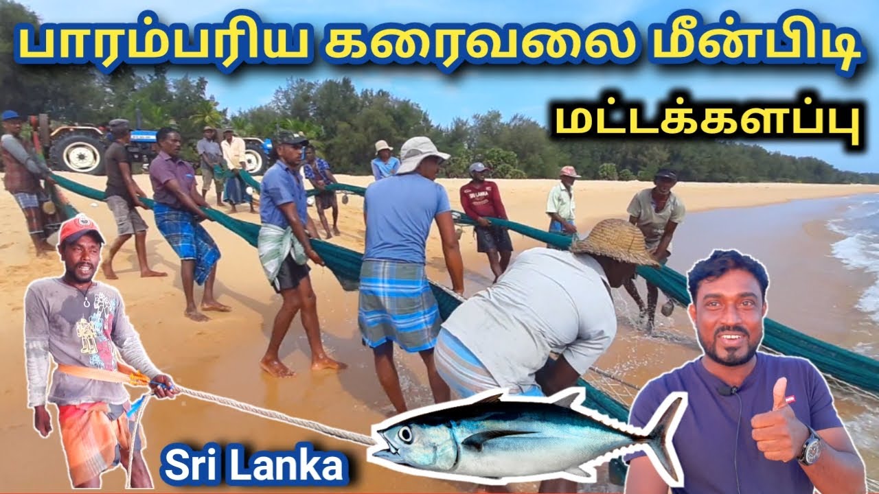 இலங்கையில் கரைவலை மீன் பிடித்தல் | karaivalai meen pidithal | tamil unlocker