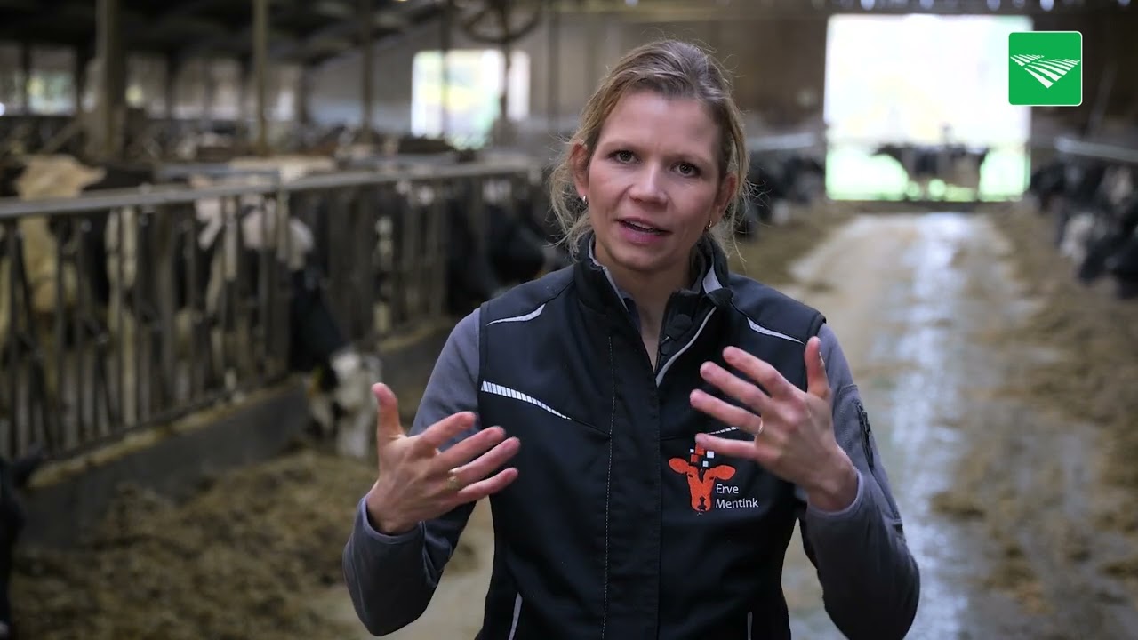 Onderzoek en veehouderij gaan hand in hand bij Erve Mentink