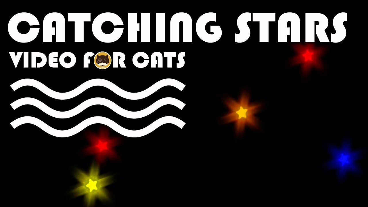 Cat Games - Catching Stars! ENTERTAINMENT VIDEO FOR CATS.