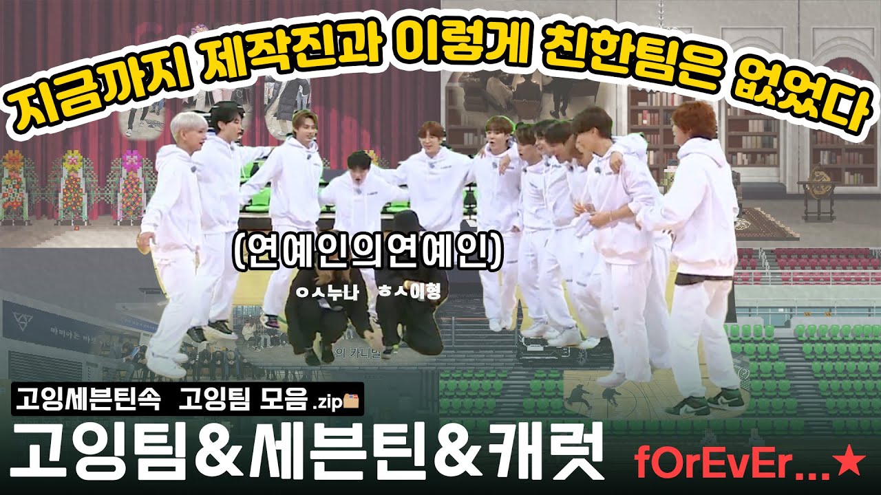[세븐틴]고잉팀vs세븐틴 모음 (※서로에게 구질구질 주의※)