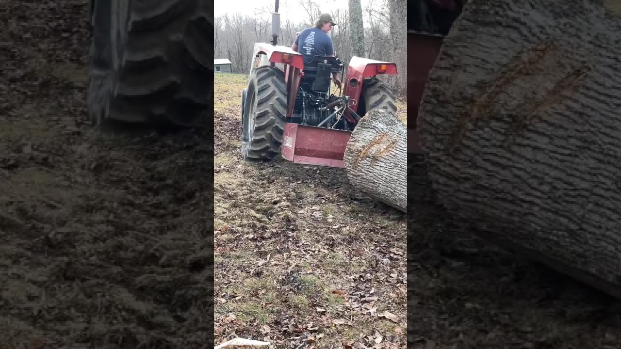 IMT 560 tractor skidding heavy poplar log! #tractor #farmequipment #logging #farming #tractors