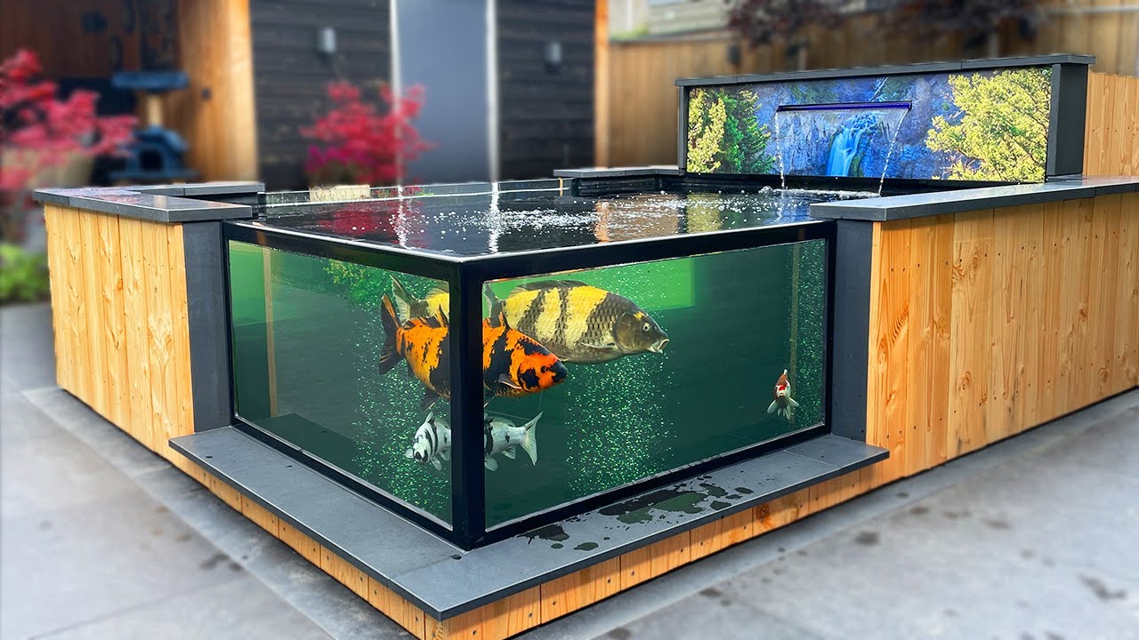 Beautiful Koi Pond With Window! (Tour)