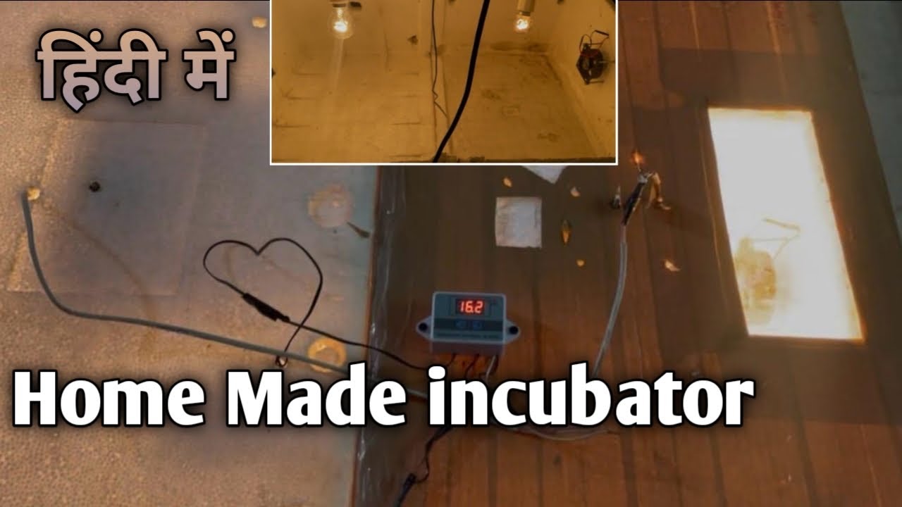 DIY Egg Incubator - How to Hatch Eggs at Home