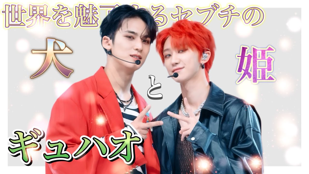 セブチのわんこと姫のケミ、ギュハオの沼へようこそ【SEVENTEEN/세븐틴/セブチ/日本語字幕】