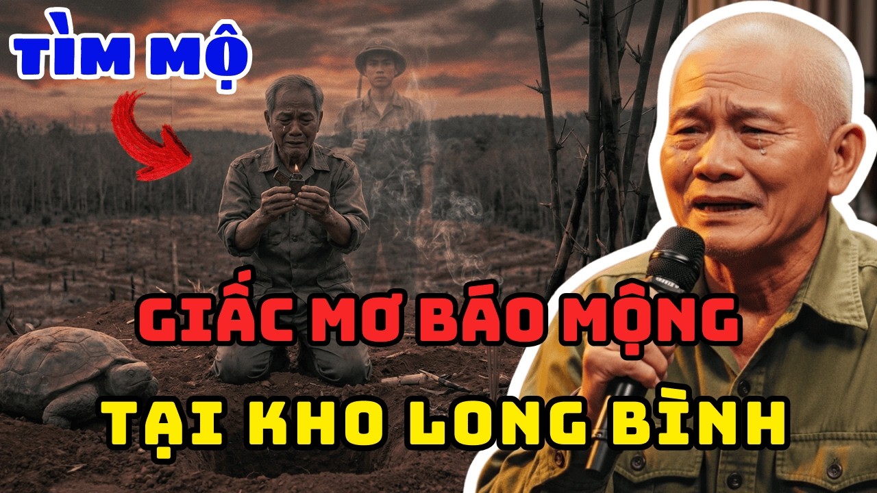 Chấn Động Tổng Kho Long Bình: Vì Sao 