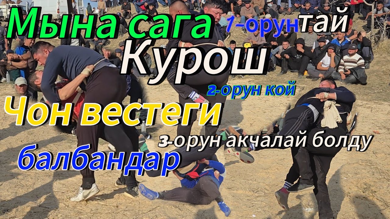 Нурбек балбандын сурмой Курошу