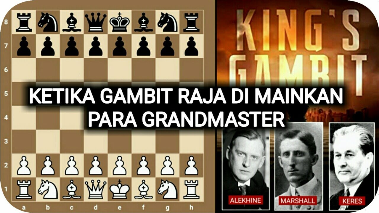 Pecatur wajib tau ! 3 PECATUR TOP DUNIA yang bermain GAMBIT RAJA