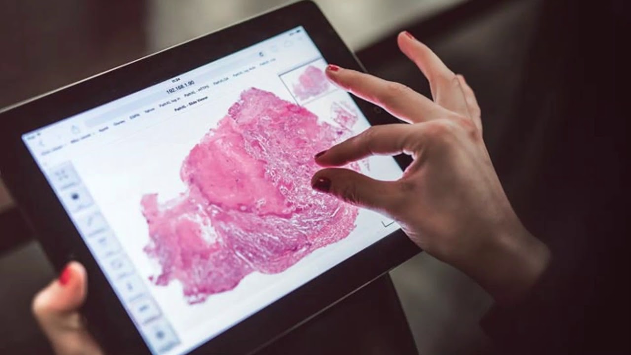 MACHINE VISION AND LEARNING LAB NUST SEECS