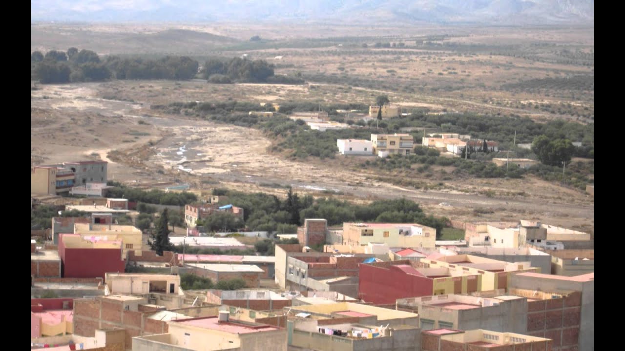 midar 2010