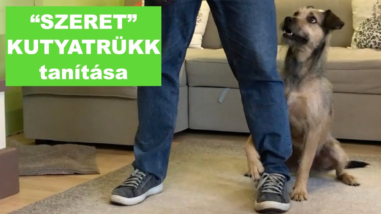 KUTYATRÜKK tanítása - "Szeret"