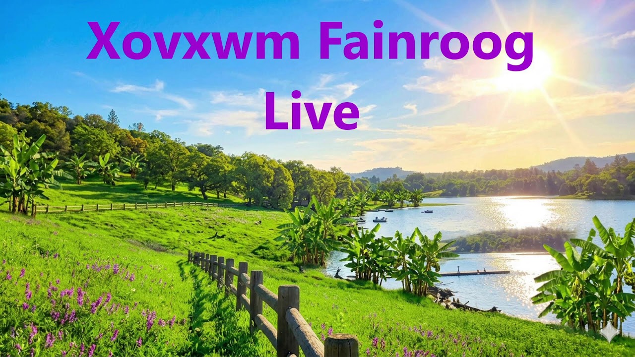 Xovxwm Fainroog Live - 3/3/2026