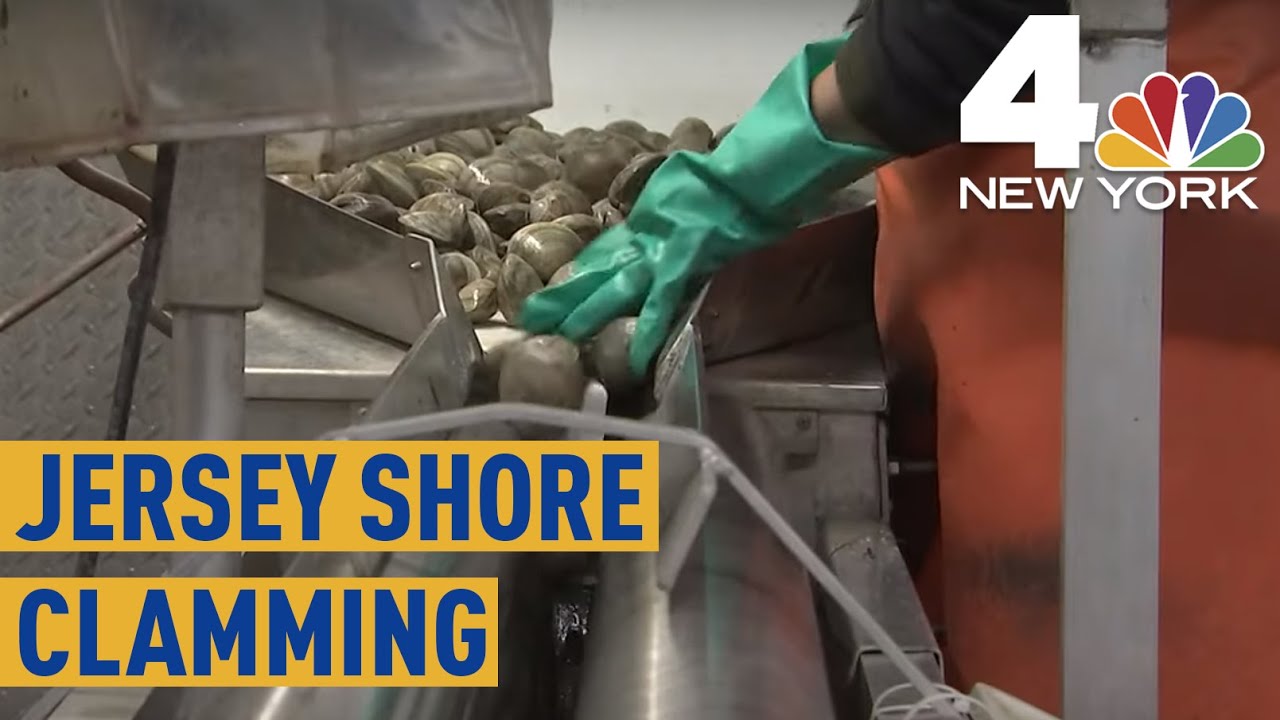 Dredging the Rich Clam Beds in New Jersey's Raritan Bay | NBC New York
