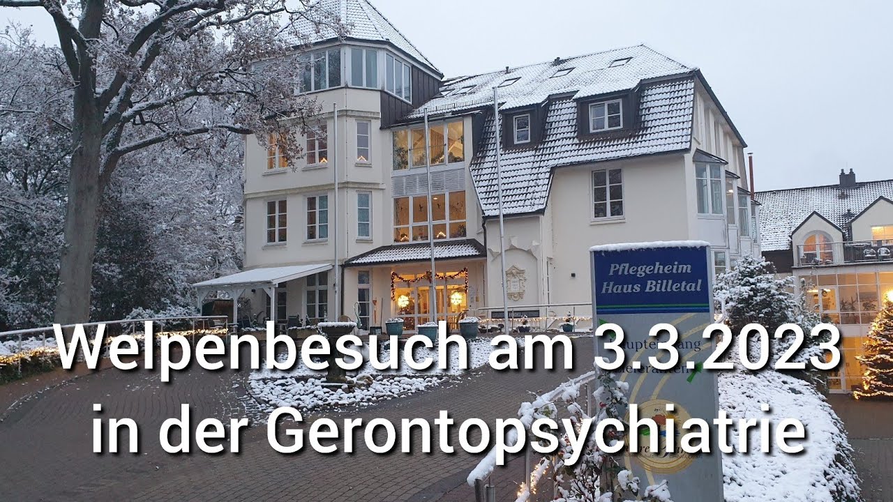 Gerontopsychiatrie mit Flat Coated Retriever Welpen 03.03.2023