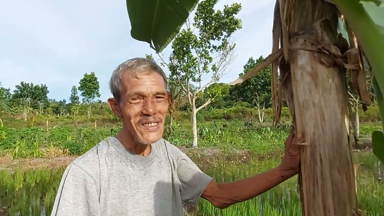 Mbah panut, hanya bertani semampunya, faktor usia yg tidak lagi muda