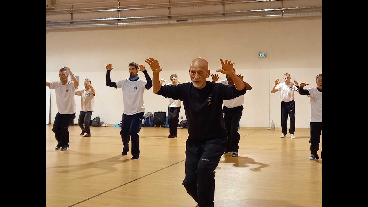 Gasshuku International TaikiKen France - Avril 2025