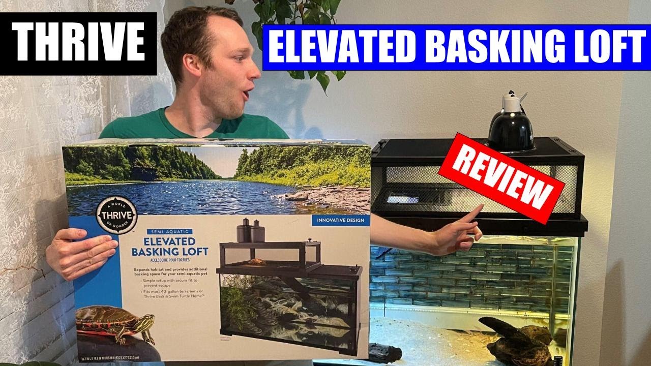 Thrive Elevated Basking Loft Full Setup and Review! - THIS IS IT!