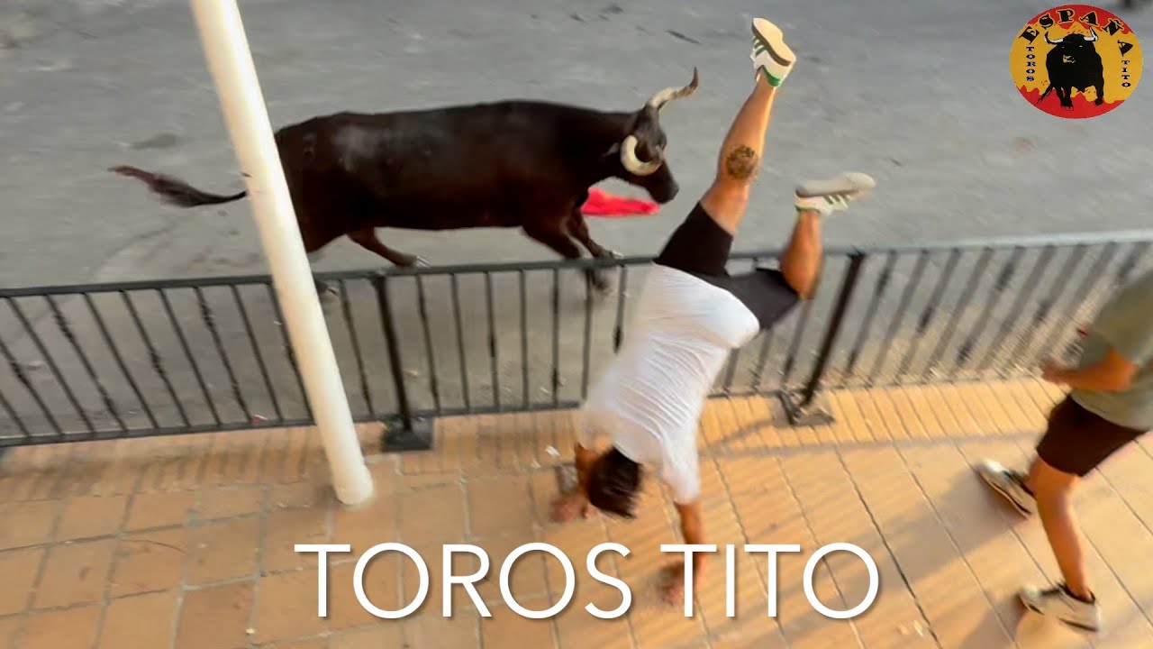 Vacas y embolado de El Salero Alborache