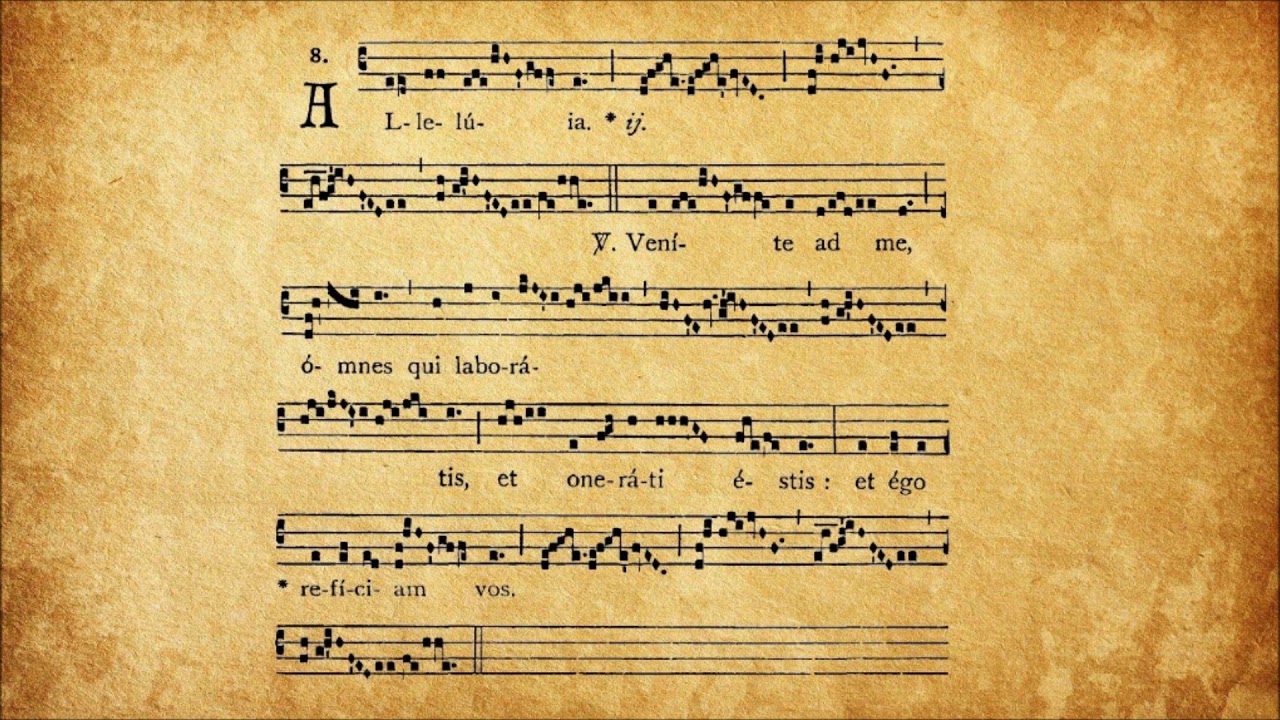 Alleluia 𝇕 Venite ad me