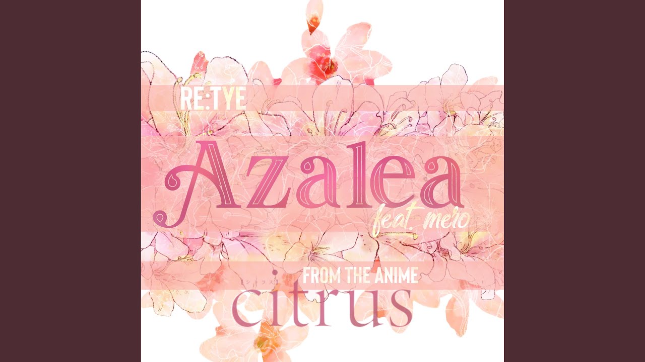 Azalea (From 