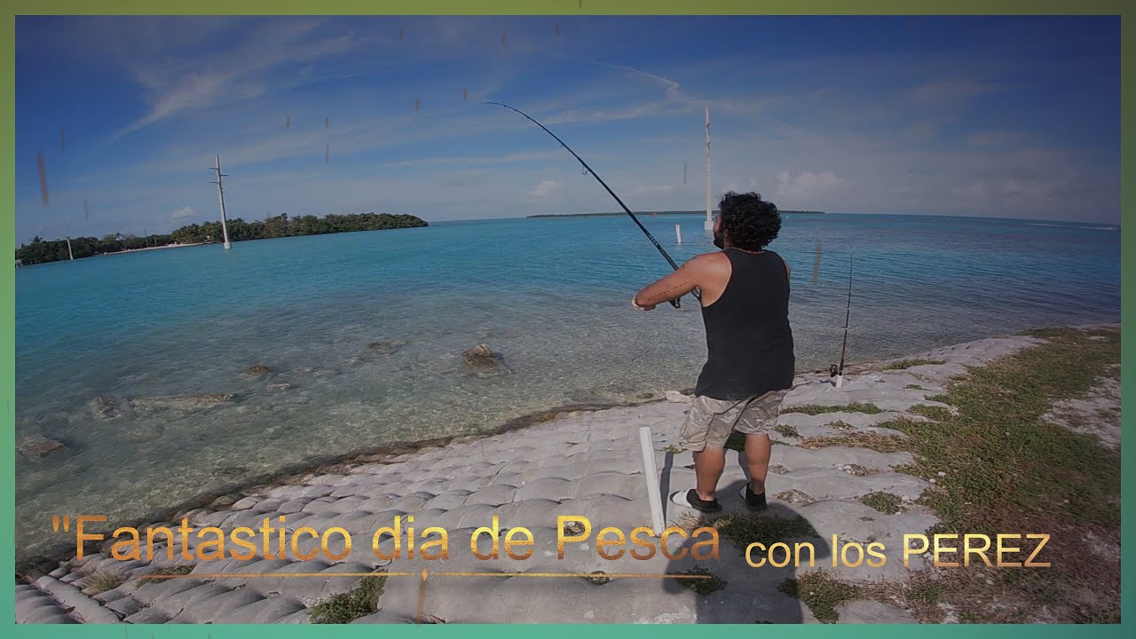 Pesca en los Cayos de la Florida ✔️como pescar en los cayos