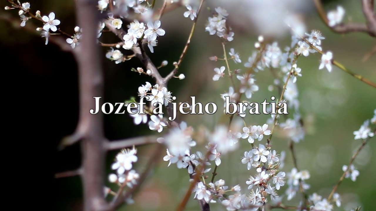 BIBLIA 9 | Jozef a jeho bratia
