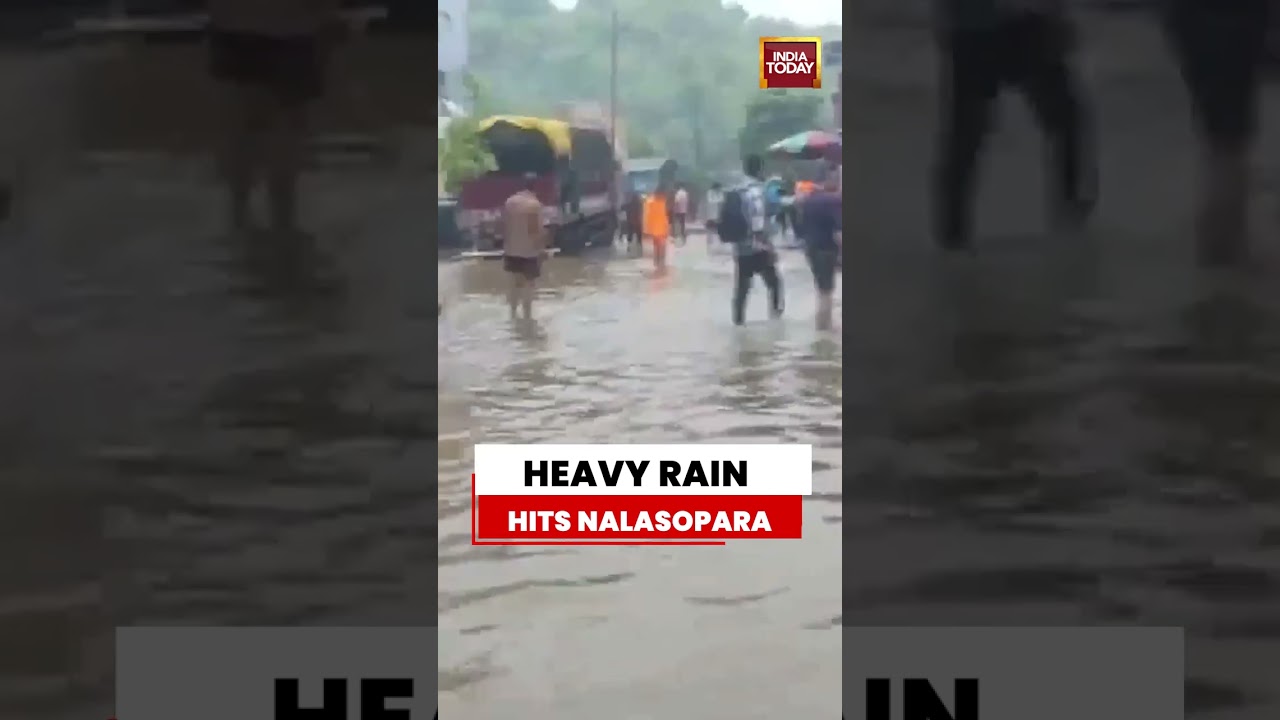 Mumbai News: Heavy Rain Hits Nalasopara-Virar As Waterlogging Disrupts Normal Life #mumbairains