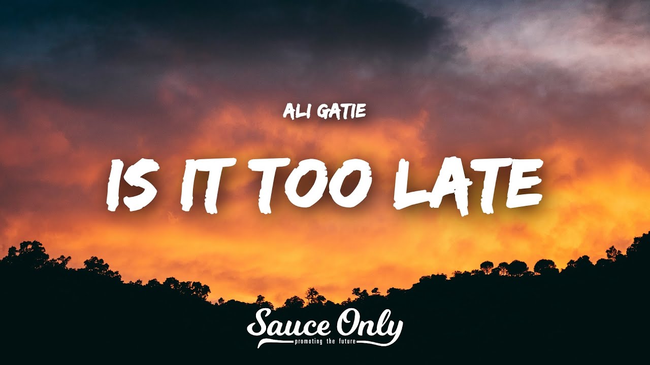 Ali Gatie - Is It Too Late (Lyrics)