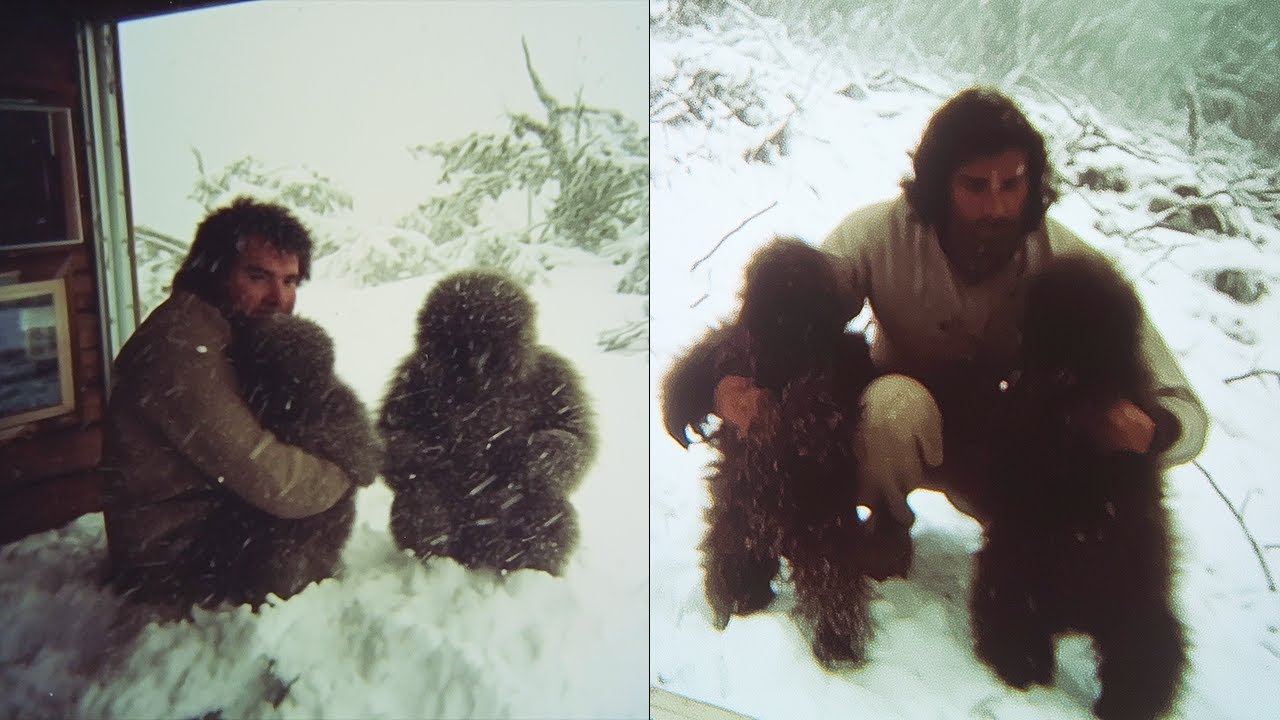 This Man Saved 2 Frozen Bigfoot Infants from Storm - Bizarre Sasquatch Encounter Story Compilation
