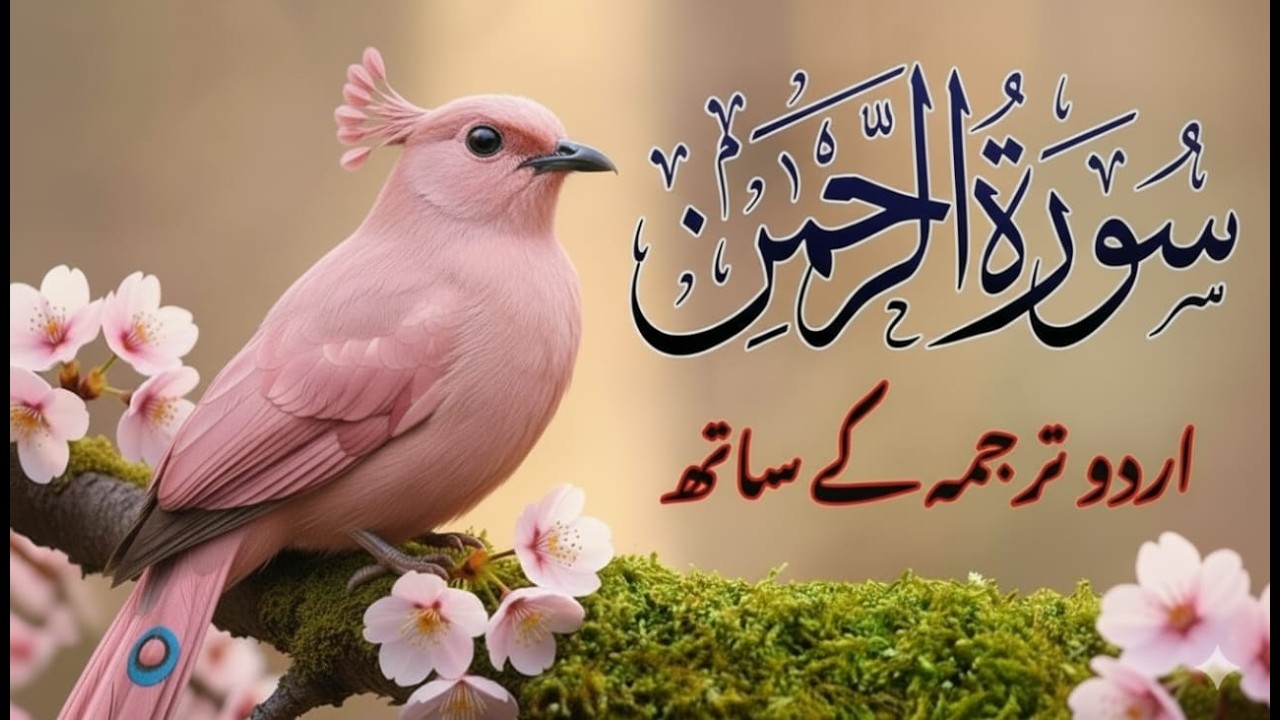 Surah Rahman with Urdu Translation | Beautiful Quran Tilawat by Qari Abdul Basit | سورۃ الرحمن | 08