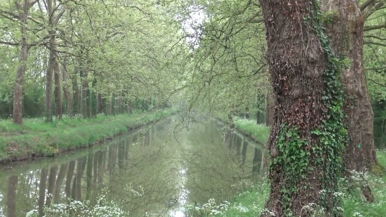 Balade Canal d'Orl&eacute;ans &agrave; proximit&eacute; de Pannes Loiret France