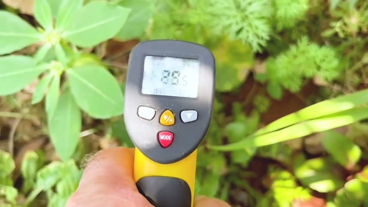 Phill Lee Explains How APCNF 365 Days Green Cover Strategy Mitigates Reradiated Heat