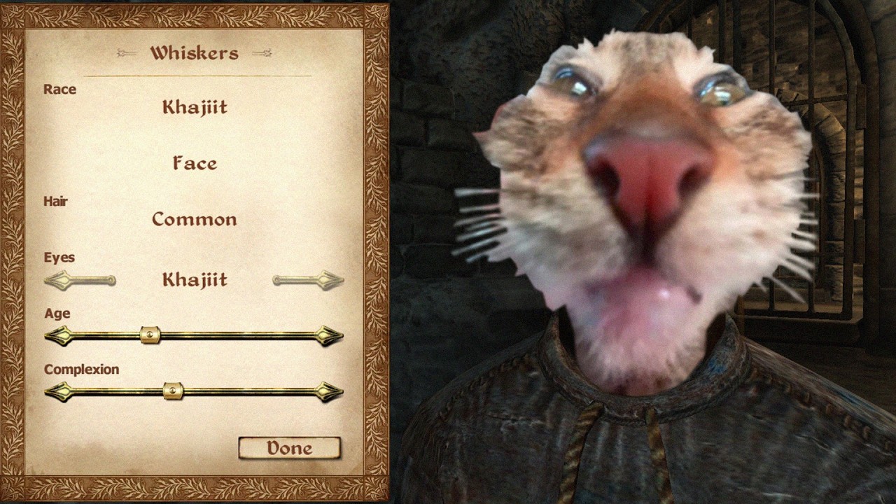 The Oblivion Meme Compilation (So Far)