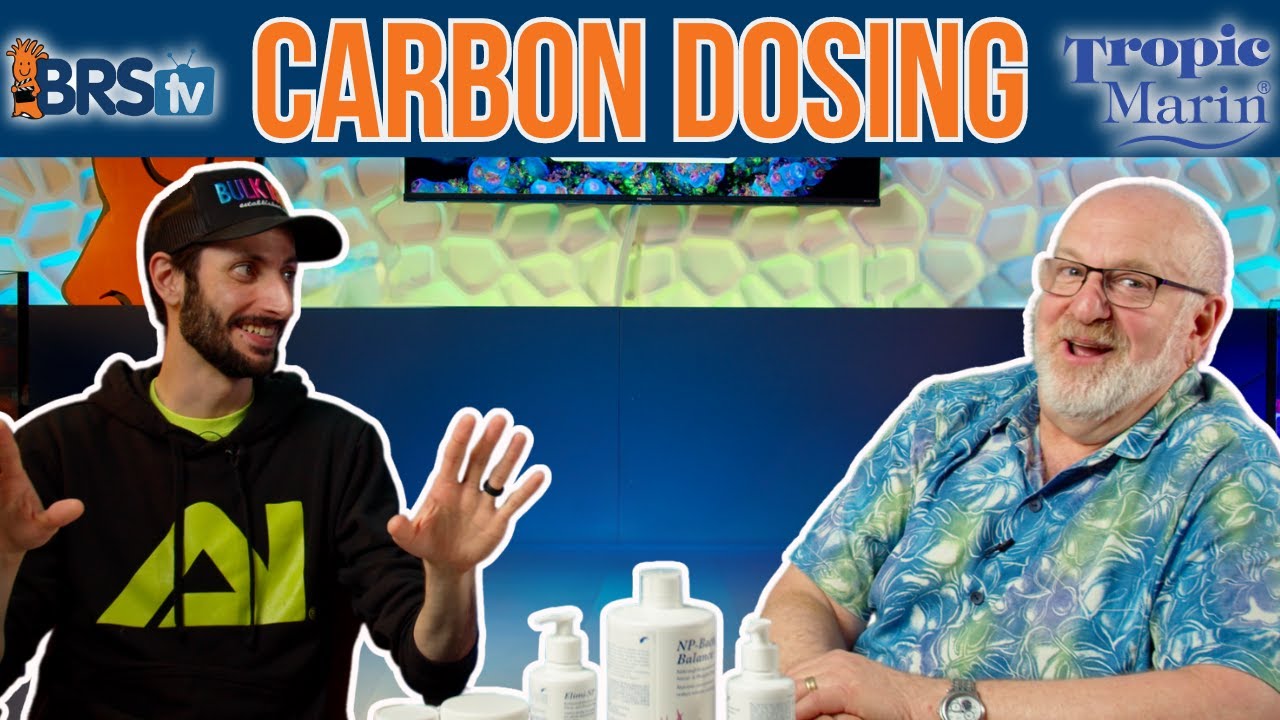 What’s the Deal With Carbon Dosing?!