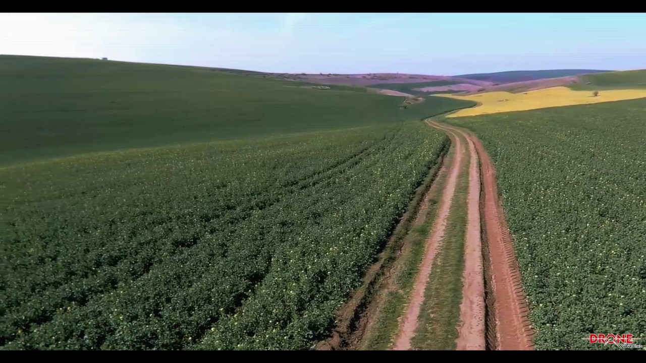Crop inspections using professional drones