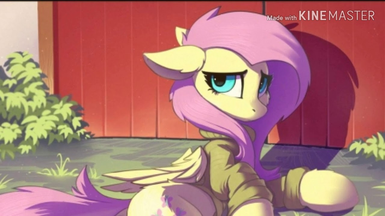 Fluttershy tribute princesses don't cry