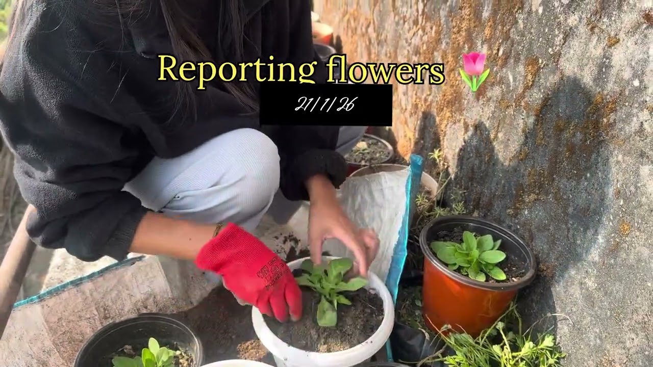 Day with my flower 🌺 