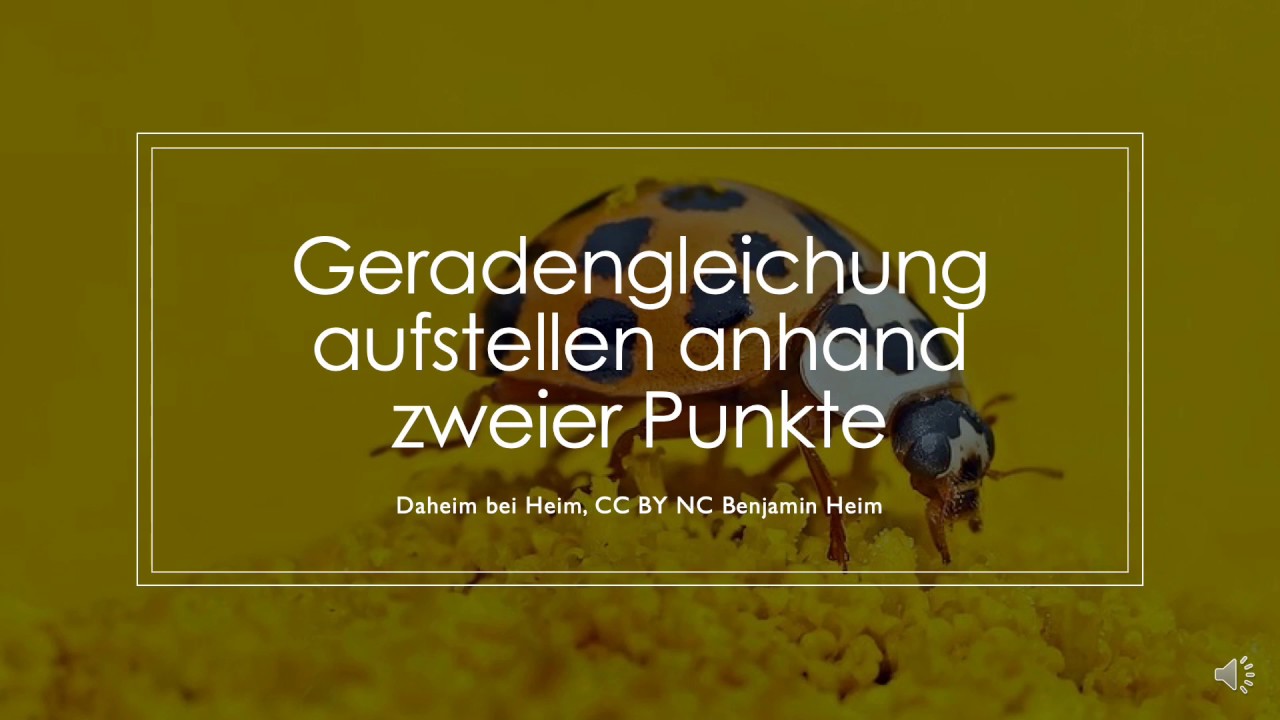 Gerade durch 2 Punkte - Gleichung - Daheim bei Heim