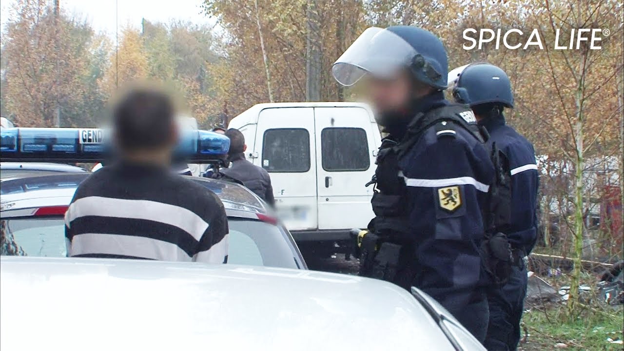 5H du mat, tout dérape : traque et descente explosive au café