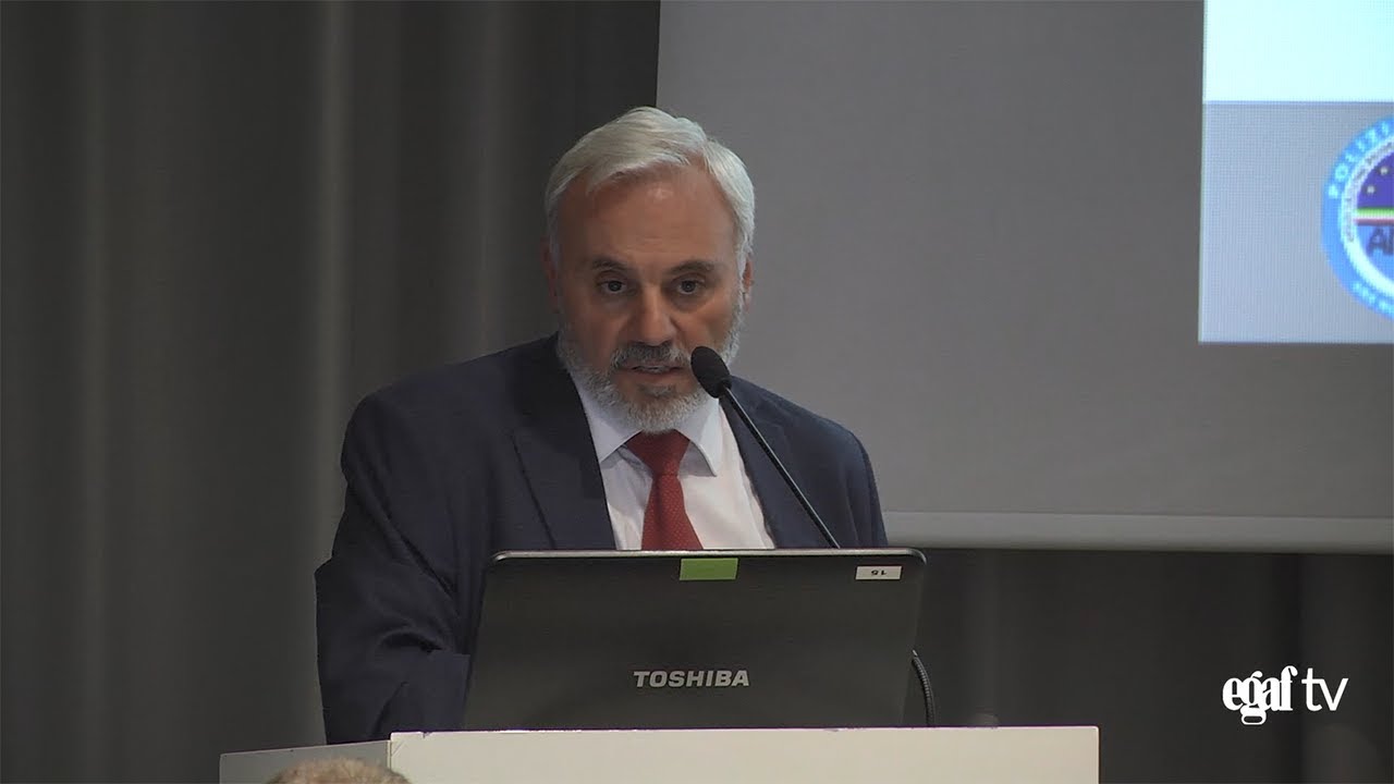 Formazione, istruzioni e controlli su tachigrafo - dott. Giampiero De Nisco - funzionario DTNAGP