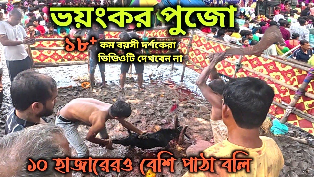 ইনছুরার মা বিষহরির ঝাপান 2025 | মা বিষহরীর ঝাপান মেলা 2025 | manosapuja | mabisahori puja | part-1
