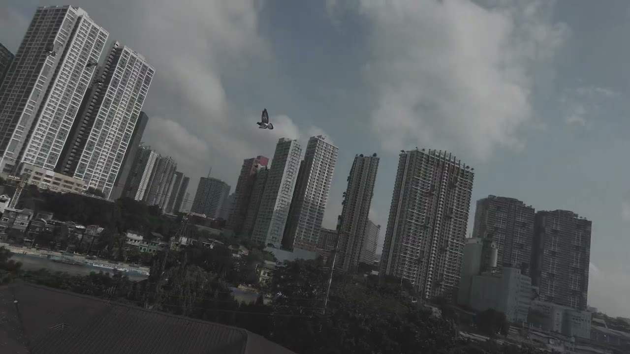 DJI Neo 2 SlowMo Test 60fps and 100fps