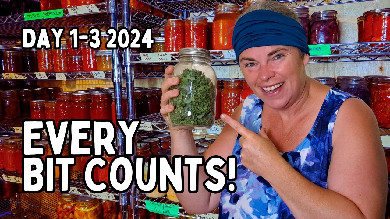 EVERY BIT COUNTS CHALLENGE: Day 1-3 August 2024 Preserving The Harvest!
